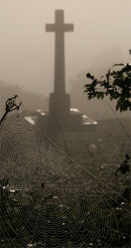 War Memorial with spider web