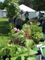 Horticultural Society Plant Sale