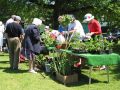Horticultural Society Plant Sale