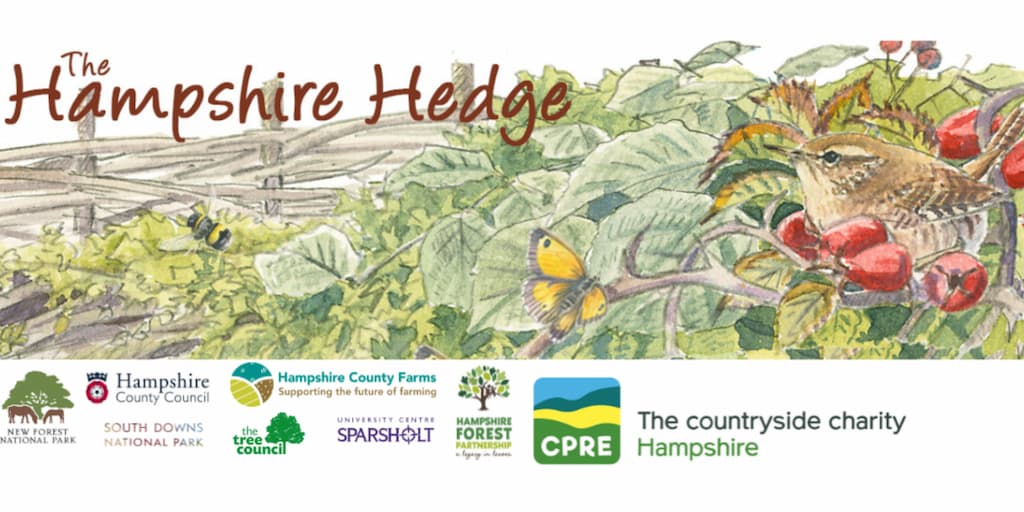 CPRE Hampshire Hedge graphic